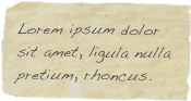 Lorem ipsum dolor sit amet, ligula nulla pretium, rhoncus.